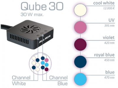 Qube 30